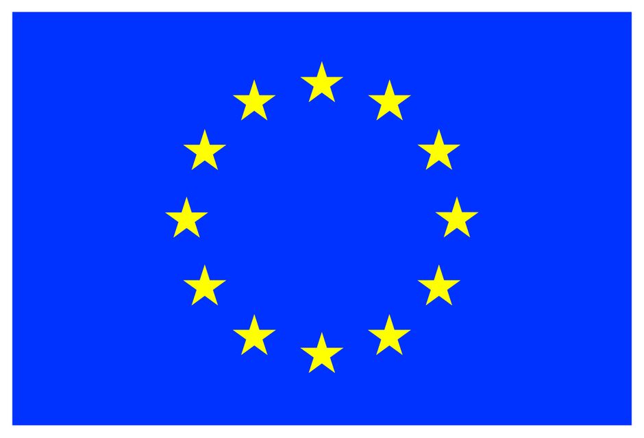[Translate to Englisch:] Flagge der EU